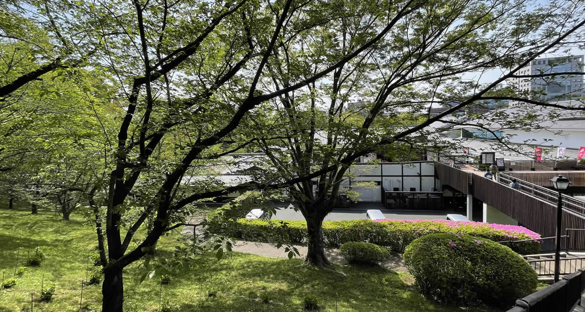 桜の馬場