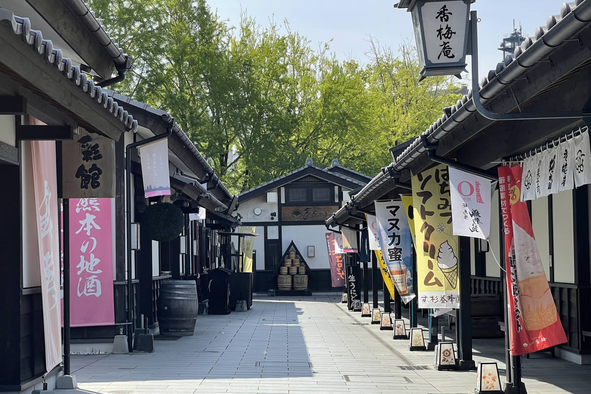 桜の小路