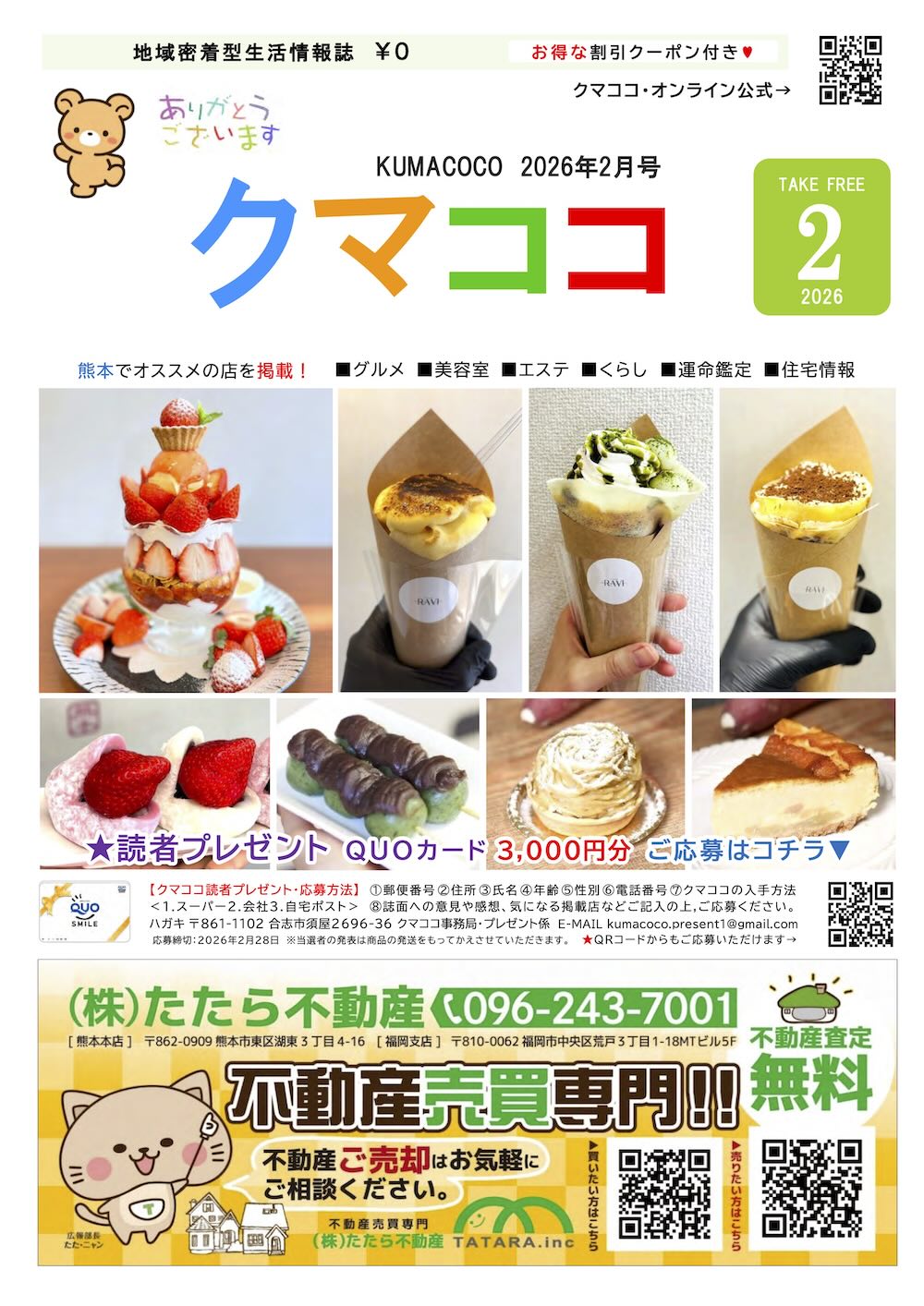 クマココ最新版 表紙