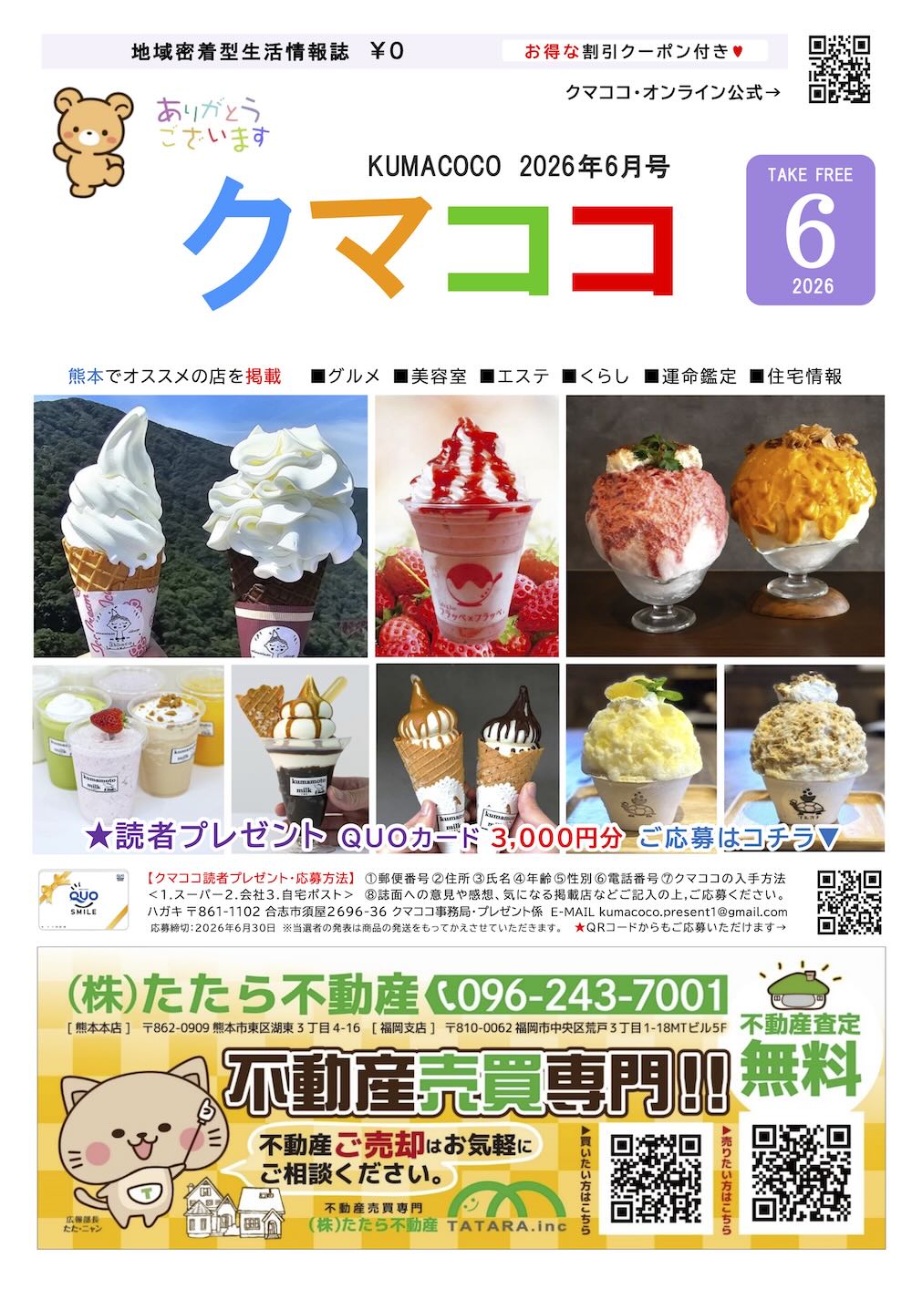 クマココ最新版 表紙