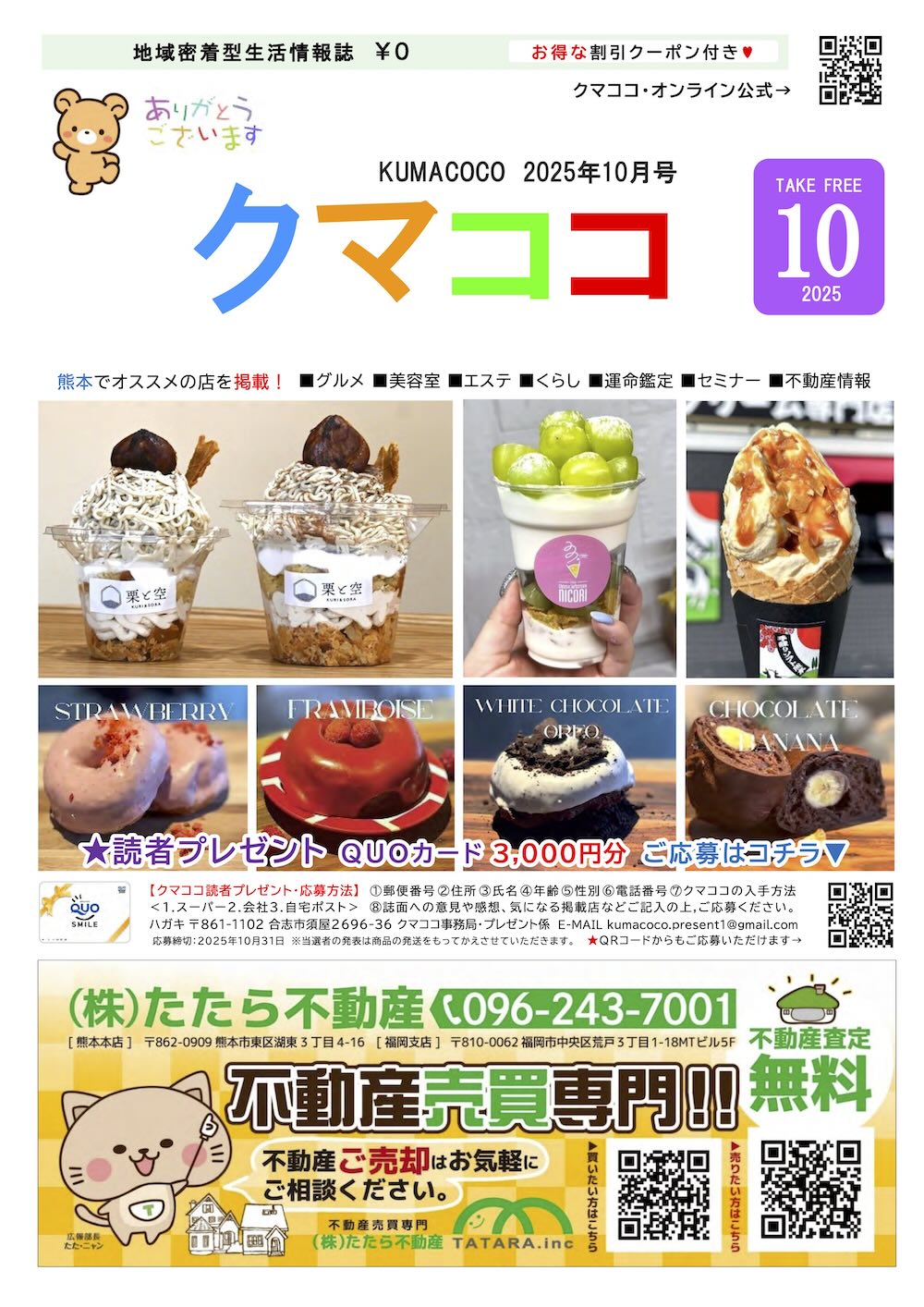クマココ最新版 表紙
