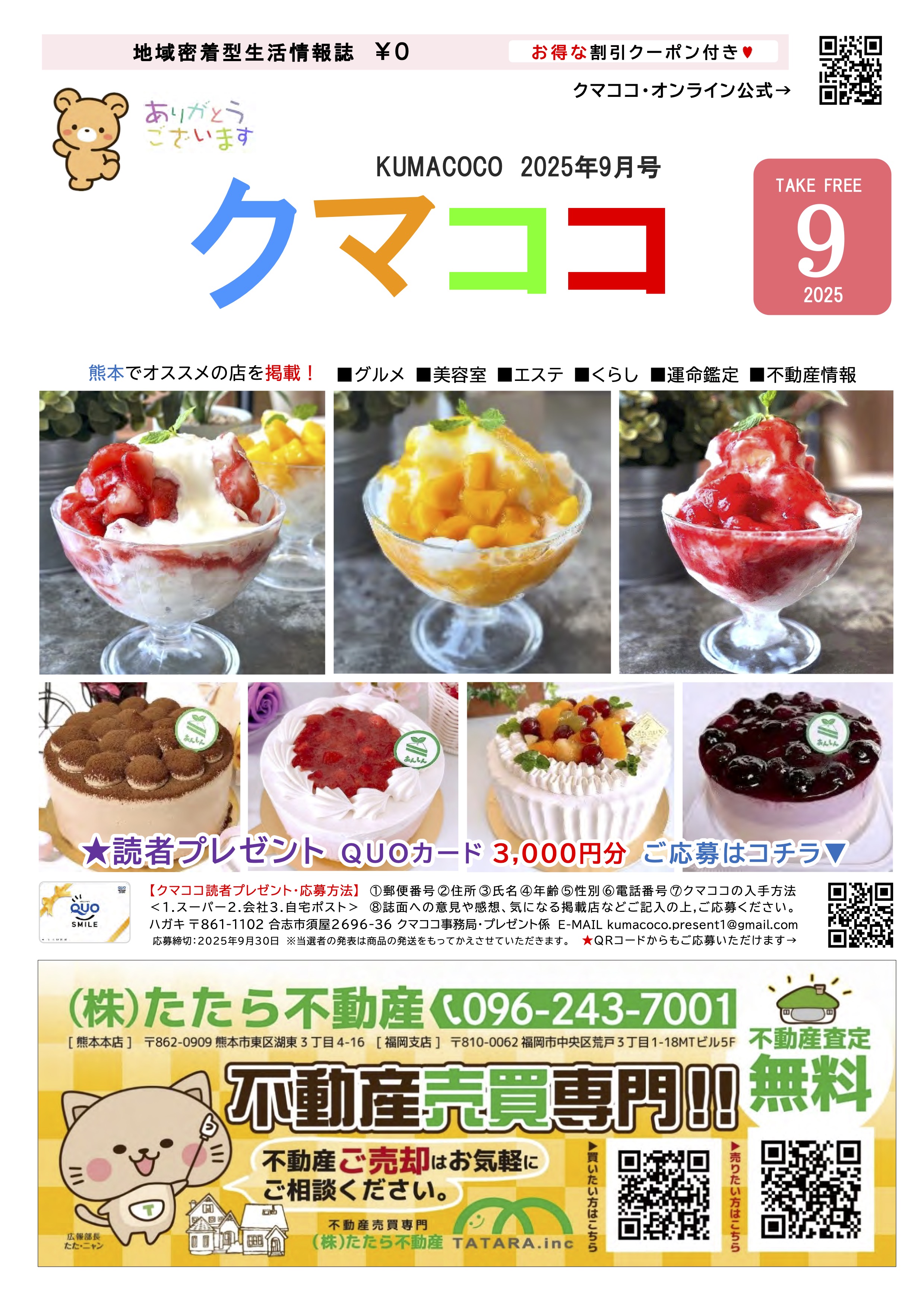 クマココ最新号